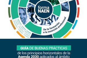 FORMANAEN: Guía de BBPP de los principios horizontales de la Agenda 2030 aplicados al ámbito de la FP