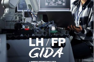 GUÍA DE LA FORMACIÓN PROFESIONAL IG 2025