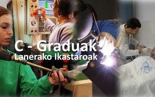 Ikastaroak, Lanerako Formazioan / C-Graduak