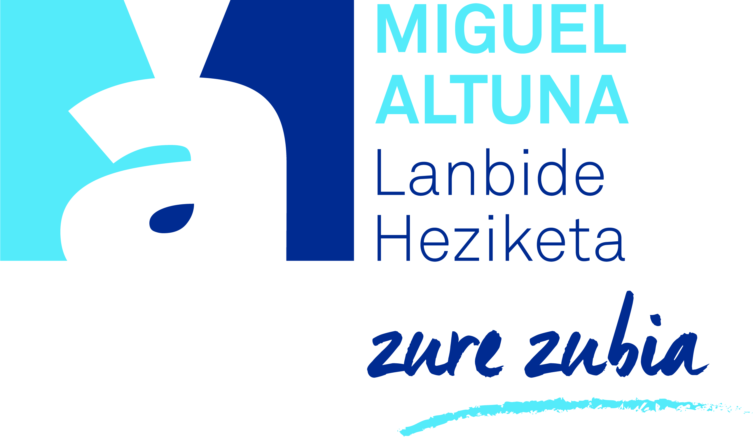 CIFP Miguel Altuna LHII