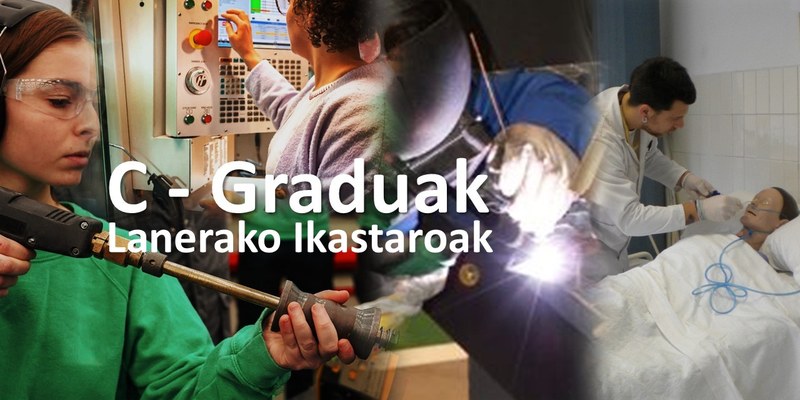 C-Graduak, Ziurtagiri Profesionalak eta ikastaroak